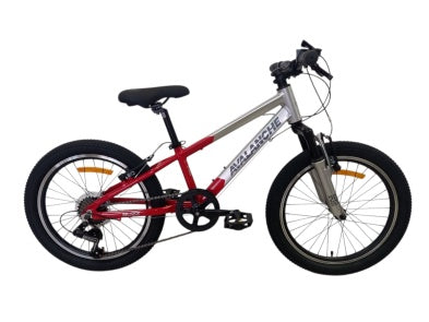 AVALANCHE BUZZ 20" BOYS SILVER/RED